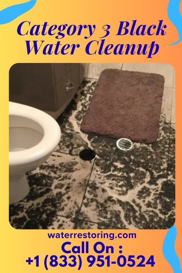 Category 3 Black Water Cleanup in Greenwood Village, CO